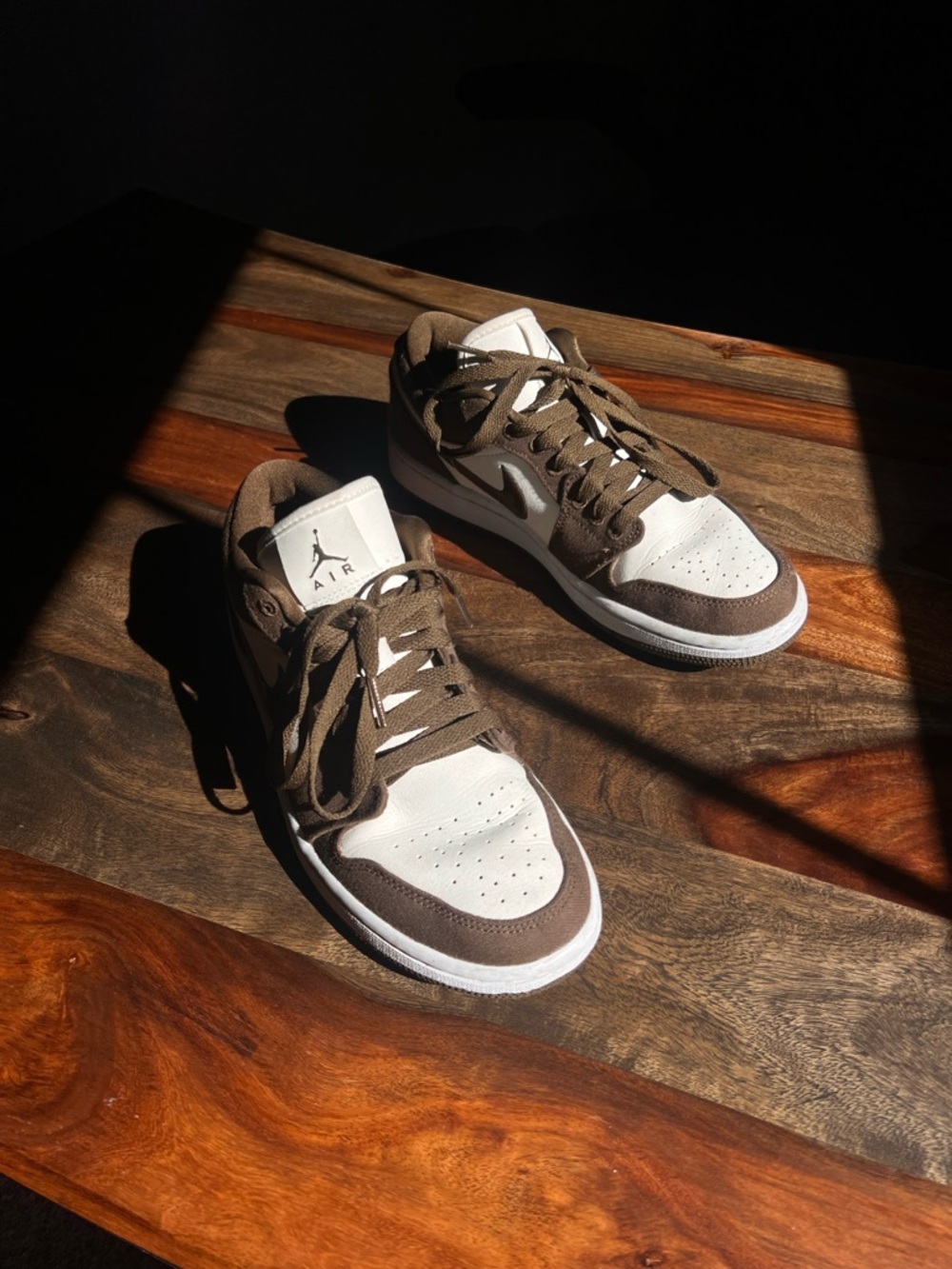 Nike Low Dunk Sneakers in White and Brown